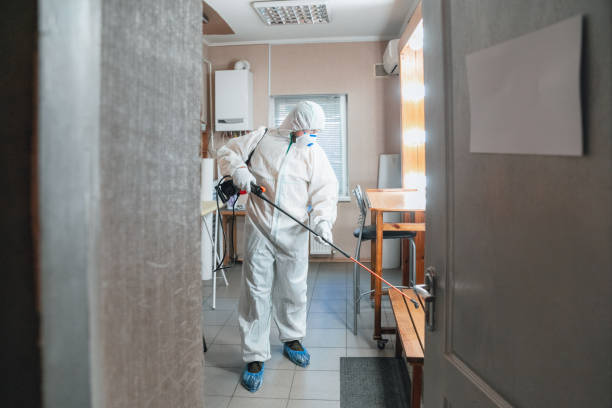 Mold Removal for HVAC Installations in Douglas, MI